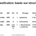 Classification et taxonomie des virus 11