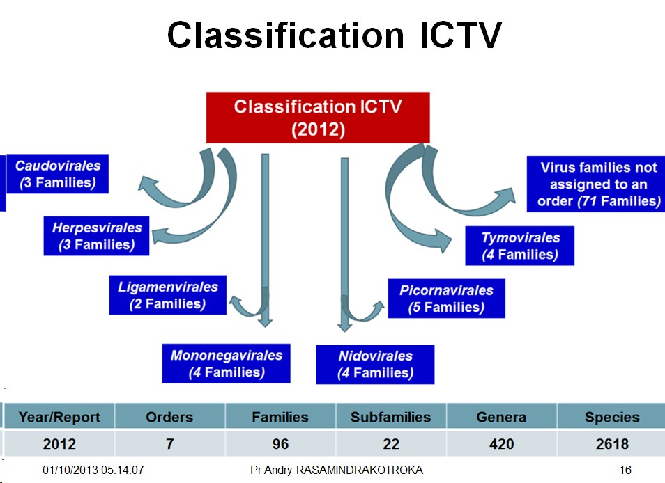 Classification et taxonomie des virus 3