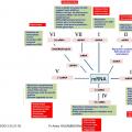 Classification et taxonomie des virus 5
