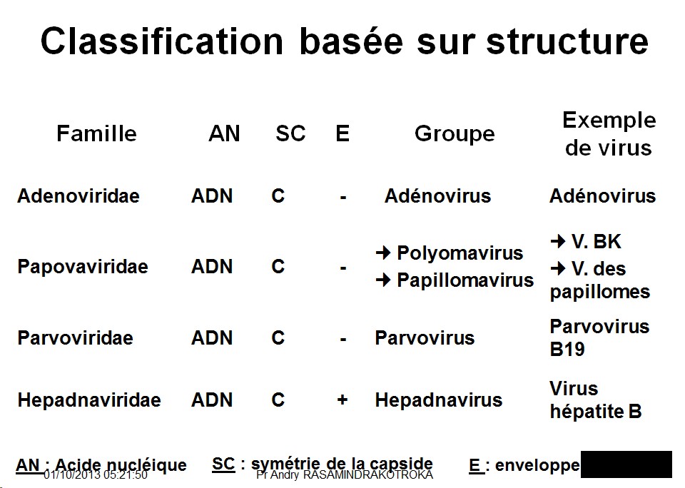 Classification et taxonomie des virus 7