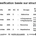 Classification et taxonomie des virus 7
