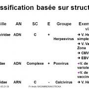 Classification et taxonomie des virus 8