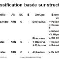Classification et taxonomie des virus 9