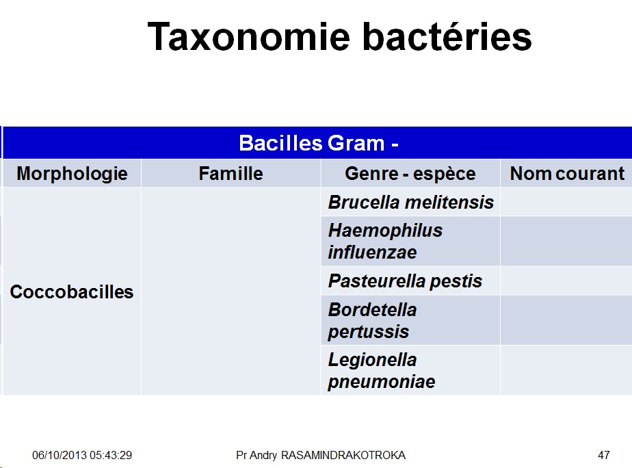 Classification - taxonomie des bactéries 10
