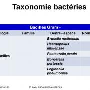 Classification - taxonomie des bactéries 10