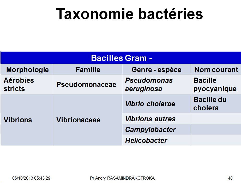 Classification - taxonomie des bactéries 11