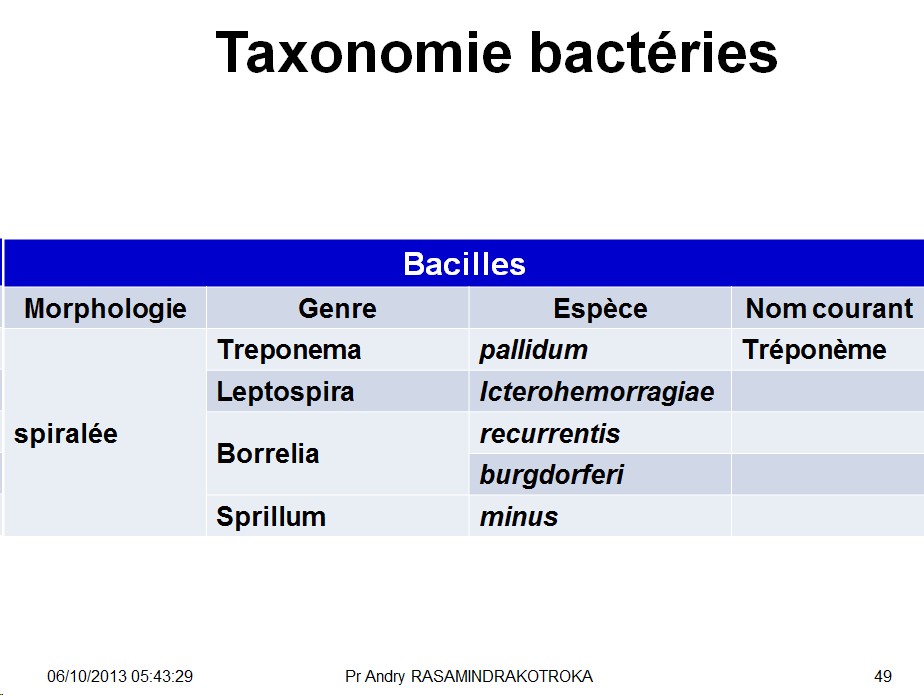 Classification - taxonomie des bactéries 12