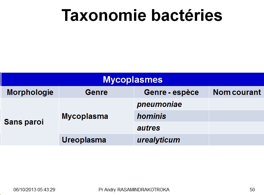 Classification - taxonomie des bactéries 13
