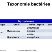 Classification - taxonomie des bactéries 13