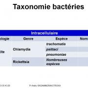 Classification - taxonomie des bactéries 14