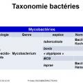 Classification - taxonomie des bactéries 15