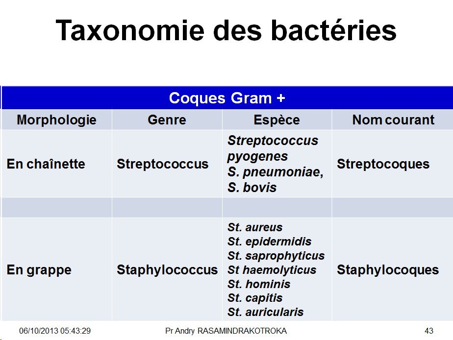 Classification - taxonomie des bactéries 6