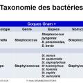 Classification - taxonomie des bactéries 6