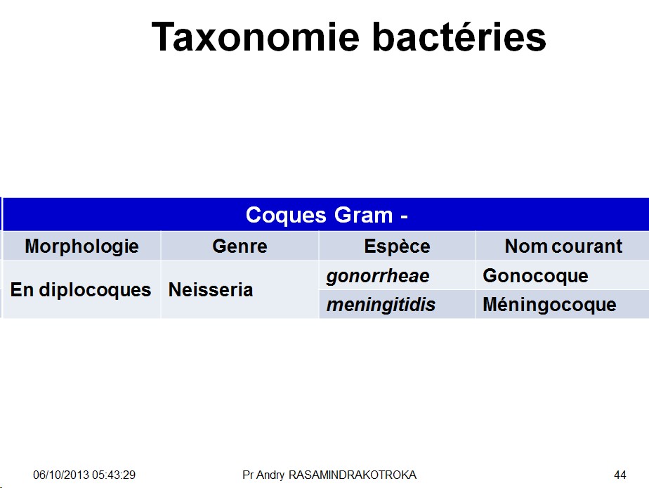 Classification - taxonomie des bactéries 7