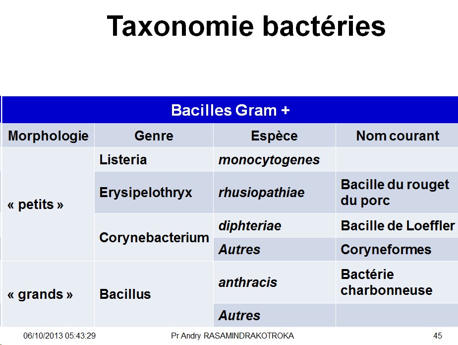 Classification - taxonomie des bactéries 8