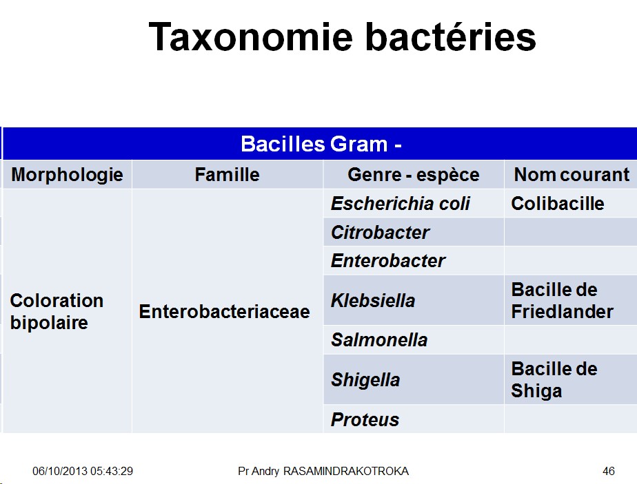 Classification - taxonomie des bactéries 9