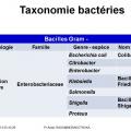 Classification - taxonomie des bactéries 9