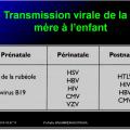 Evolution des virus dans l'organisme 10