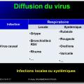 Evolution des virus dans l'organisme 11