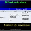 Evolution des virus dans l'organisme 12