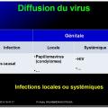 Evolution des virus dans l'organisme 14