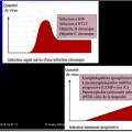 Evolution des virus dans l'organisme 18