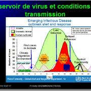 Evolution des virus dans l'organisme 3