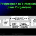 Evolution des virus dans l'organisme 4