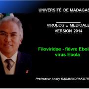 Filoviridae - virus Ebola 1