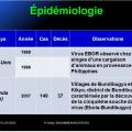 Filoviridae - virus Ebola 10