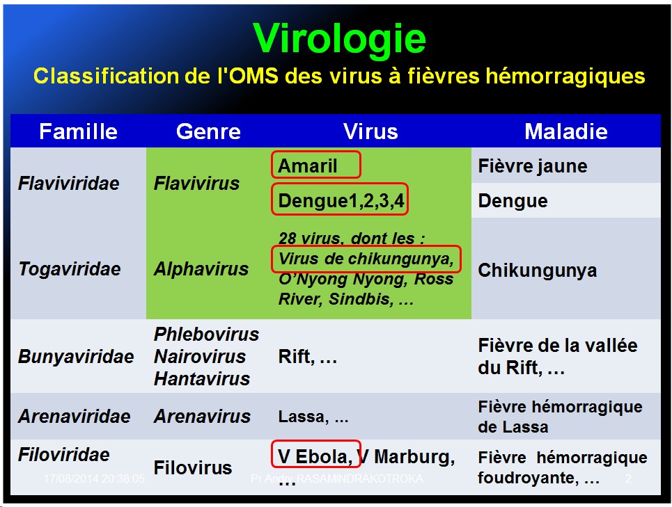 Filoviridae - virus Ebola 2