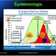 Filoviridae - virus Ebola 6