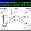 Iatrogénie - Effets indésirables des médicaments 2
