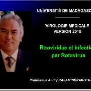 Images électionnées Reoviridae - Rotavirus1