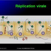 Images électionnées Reoviridae - Rotavirus5
