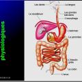Images sélectionnées Antiulcéreux gastroduodénaux2