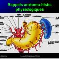 Images sélectionnées Antiulcéreux gastroduodénaux4