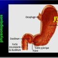 Images sélectionnées Antiulcéreux gastroduodénaux5