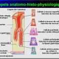 Images sélectionnées Antiulcéreux gastroduodénaux6