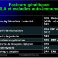 Images sélectionnées autoimmunité6