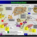 Images sélectionnées Hypolipémiants2