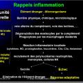 Images sélectionnées immunité antibactérienne et antivirale4