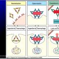 Images sélectionnées immunité antibactérienne et antivirale6