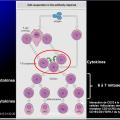 Images sélectionnées immunité antiparasitaire11