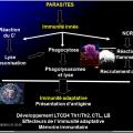 Images sélectionnées immunité antiparasitaire15