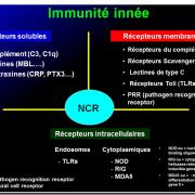 Images sélectionnées immunité antiparasitaire2
