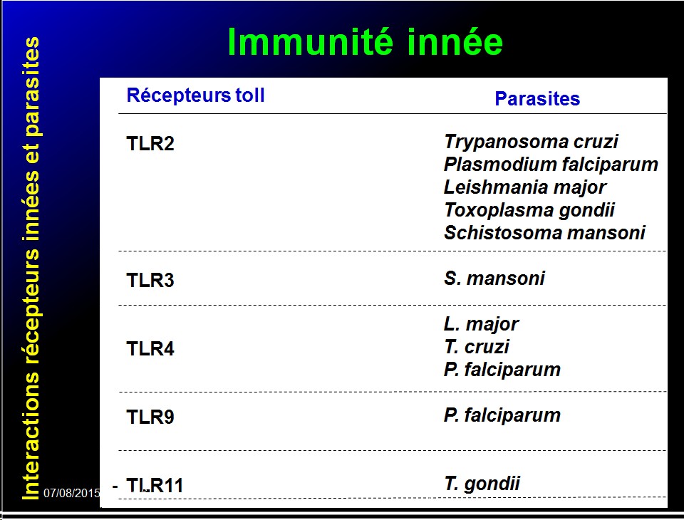 Images sélectionnées immunité antiparasitaire3