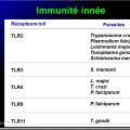 Images sélectionnées immunité antiparasitaire3