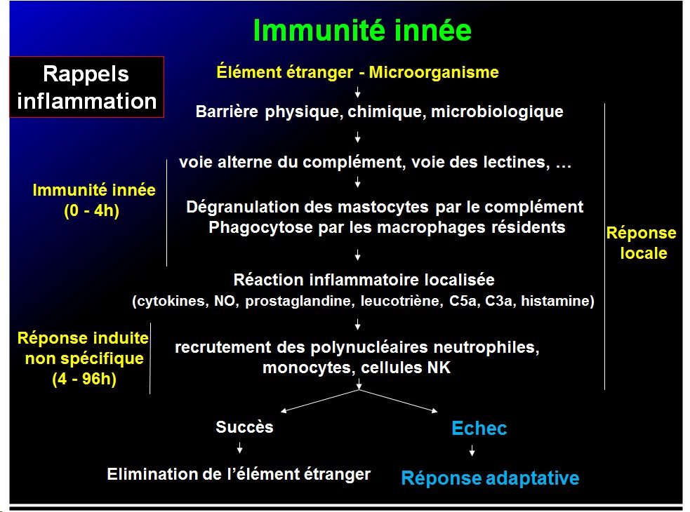 Images sélectionnées immunité antiparasitaire4