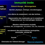 Images sélectionnées immunité antiparasitaire4